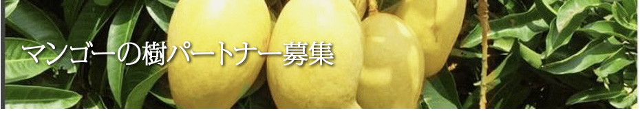 マンゴーの樹オーナー募集